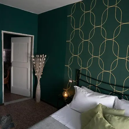 D.i Dream סרזאנה